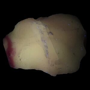 Custard Burmese Pink Art Glass Cullet Manganese Glowing Slag Garden Rock #4GX120